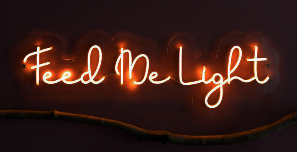 feed me light closeup